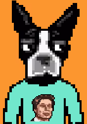 PIXEL BOSTON 14