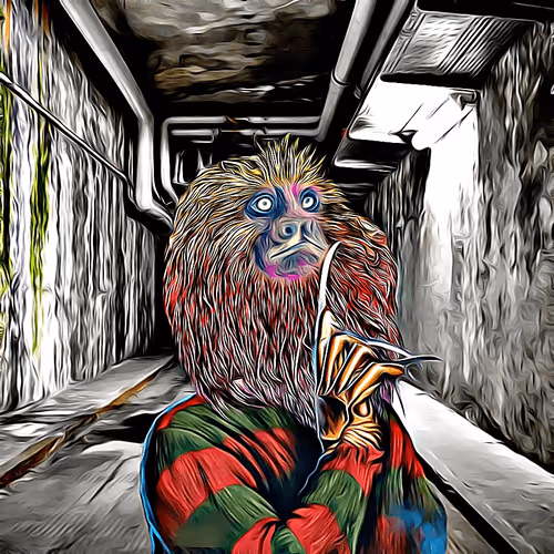 Item #113195257159257079070404249641266195371594745404922035544164170399220181762049 Media