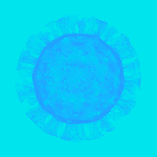 Item #72662108323090030704563502284913997315169442299557298221506753892272314515457 Media