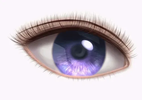 Item #42950694591796666568266939449637019646211598636303907727097118084797221044225 Media