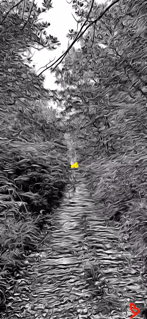 Item #92488739409829942106493513181960469638549893427874443663308882698202440007681 Media