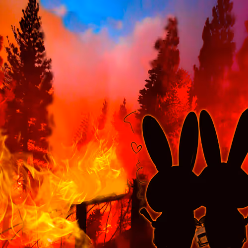 68493990449864583505284668838566018086376002663967146709861048751171062202369