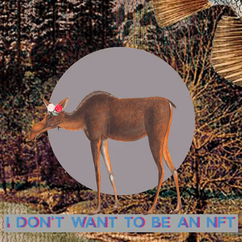 Item #3530187889540553224700552633621350802399192504372702264799301420651756126209 Media