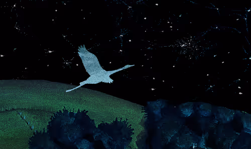 Item #75402606470535323072993465863396388594773696048556013435419036496049471488013 Media