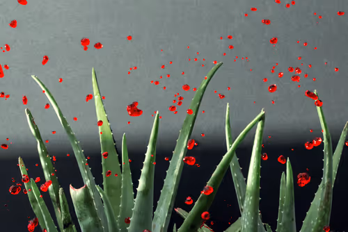 Item #113781195238172772239803806738047035899898469948787948788221024551247703703554 Media