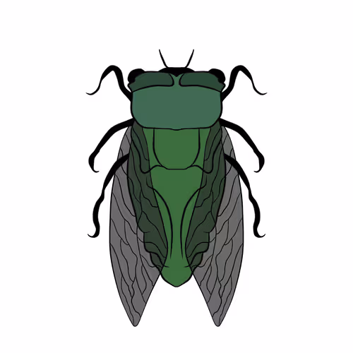 Item #9300110151343064589478089852028701977421355729169838991758735120577123581953 Media