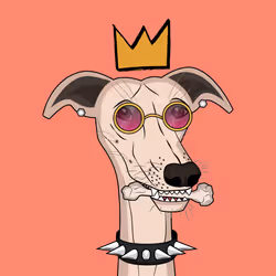 2680978344079381498691935145850352404803834322876667011231056019492666605569