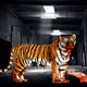#tiger hunting