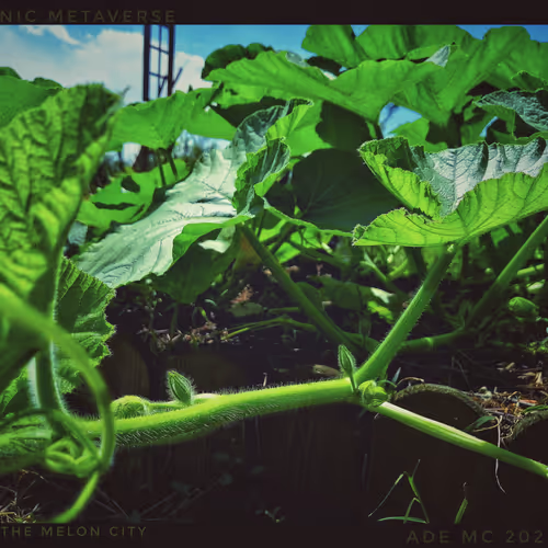 3787080761074609709675817509753112159059746763483256848434353874455756800001