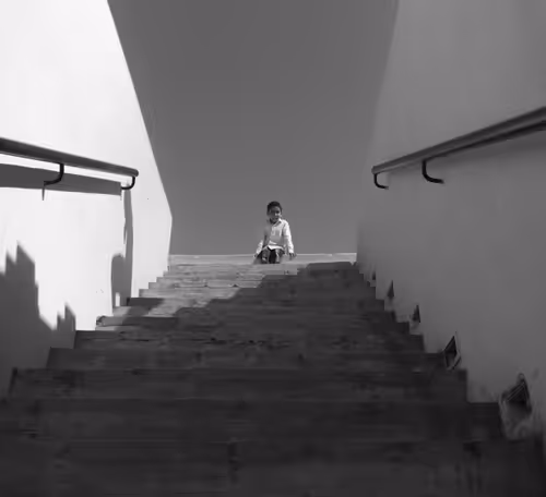 Item #44700108579651333138667542629820837396884608340507399849221760751643331133441 Media