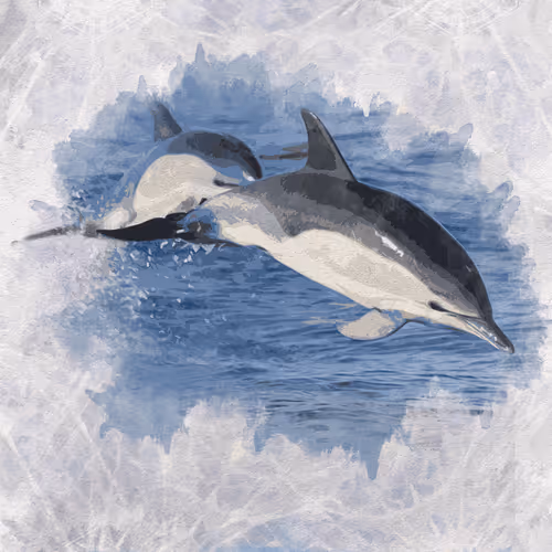 Item #108829080069432666427413762901192148077907568328307962474054884609027523739655 Media