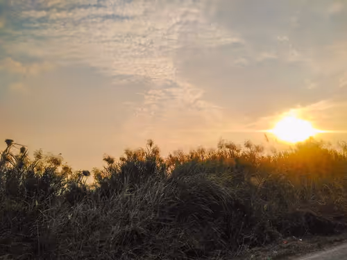 Item #19969189694170758590771489462771630639890236597170204499353164460721445011457 Media