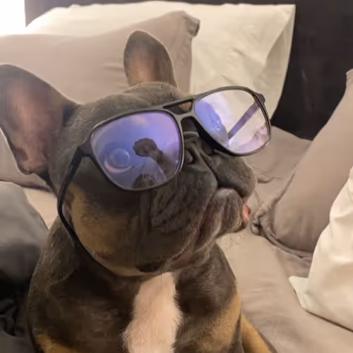 Untitled Collection #28130665