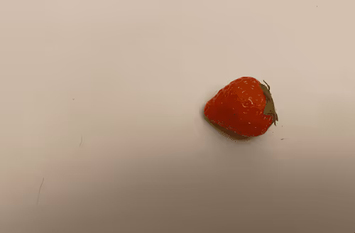 Item #69415303266762783838091346554203331785262091122040620382605275333192971190273 Media