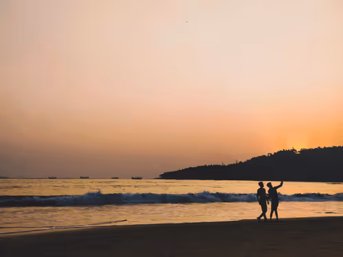 Untitled Collection #261824487