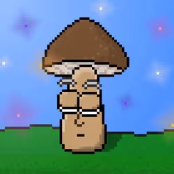 33741781216748986518517832568595493503429706584982134247768926213020909043713