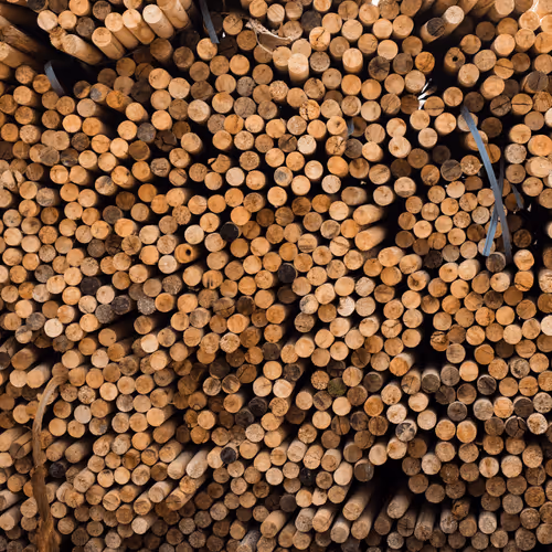 Item #80488266671287018131558448213082272878703229800970441297784273644481140490241 Media