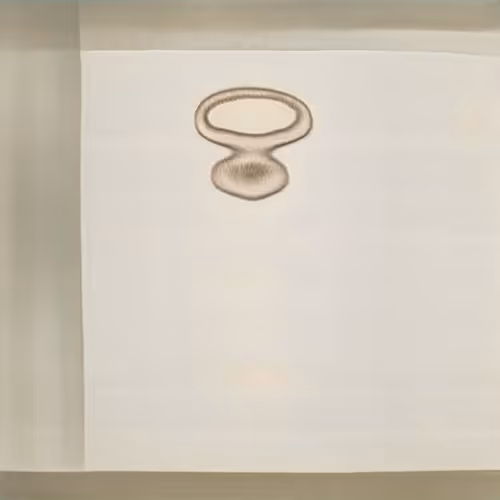 Item #94594472800492689210511791646247881716921421318605375343824232320876920438785 Media