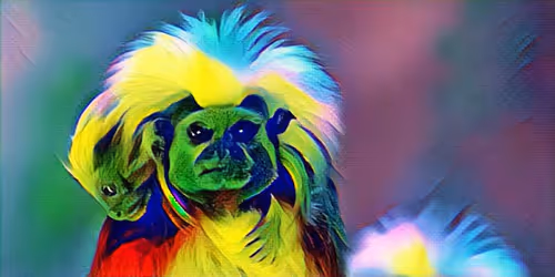 Untitled Collection #179764430