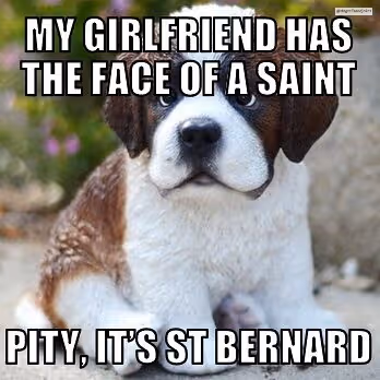 Item #50019202249894892371434277918318181364623497082798944916930856340174202208257 Media