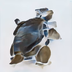 Abstract Monster Vernissage Kanto #9