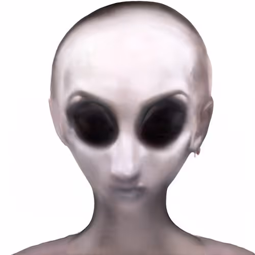 Item #78659460725135531583023670119258347490912039647015248883718852226301542006785 Media