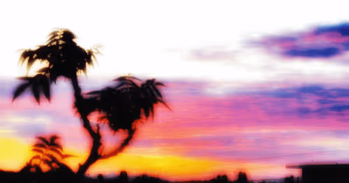 Item #19032294772148781182284612819641724008579829006900072158309399328343071916033 Media