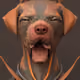 58493549862535771731149478708422103258967583596057220622164403184097107640330