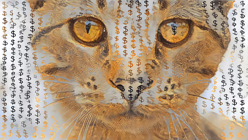 108786381566137461279473531880826935659335452726224417028117049391678918492161