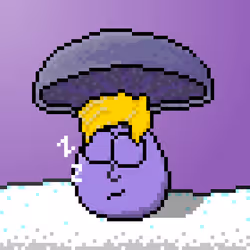 33741781216748986518517832568595493503429706584982134247768926337265722982401