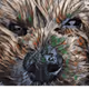 34577857510198770947066319446872419172897167985507786313446904560481541816321