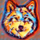 73807851304765522276777547320543025458568704062591410509067473764874216013825