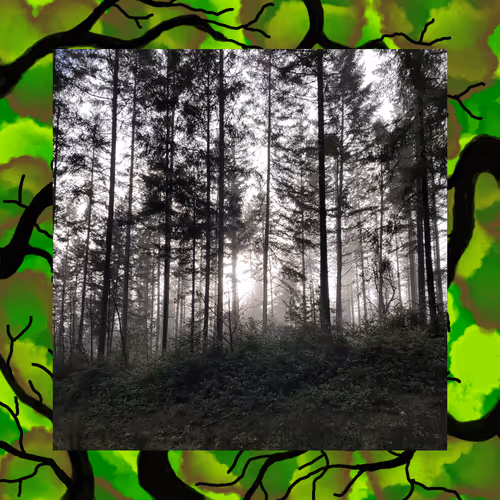 Item #7190439273751196256523451287676202332117351128558679353766308964328376631297 Media