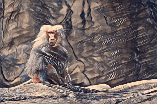 Item #54593652383459731767777383320415424164820202733853921615926635499133056581633 Media