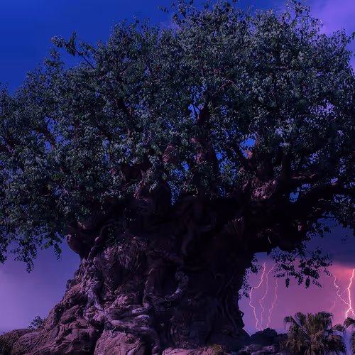 Item #88004996534824683595530724546599971679500479885653343253103225464921908051969 Media