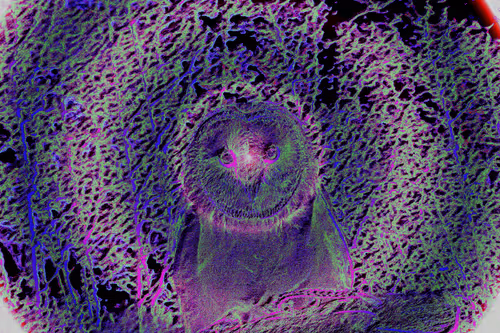 Item #52128850508220609530869005865198535686398736578536669688006949321619848298506 Media