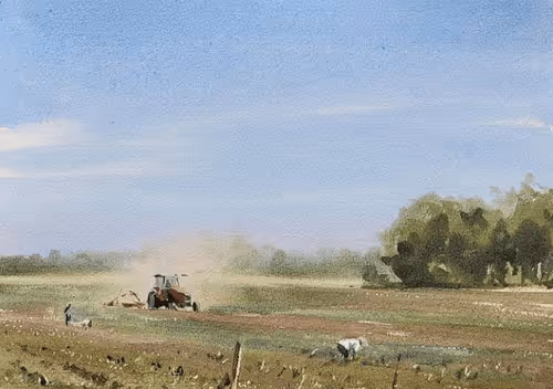 Item #35569391321720494040210382396781868888236887891066575875774015507927733895169 Media