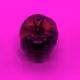 110692649264369377071495627220392981109400302920527361961030166693169904746497