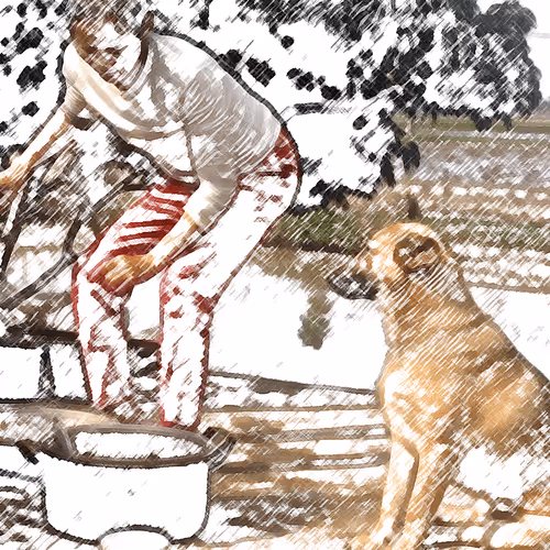 Item #60872619837691221380598772379199687770025926314057253898285761400194874736650 Media