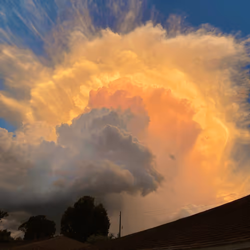 Item #10733503243961831338446845416864981568486588931526930647969255967678888148993 Media