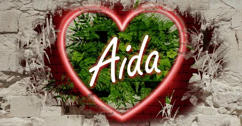 Item #68053287575525751288269231675427811746861684968250582901590729457293206749194 Media