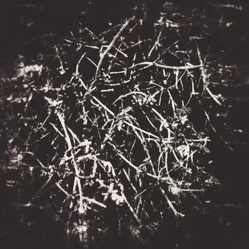 Item #49188710718413262446425824596964854565025683222927729162195606668543849922561 Media