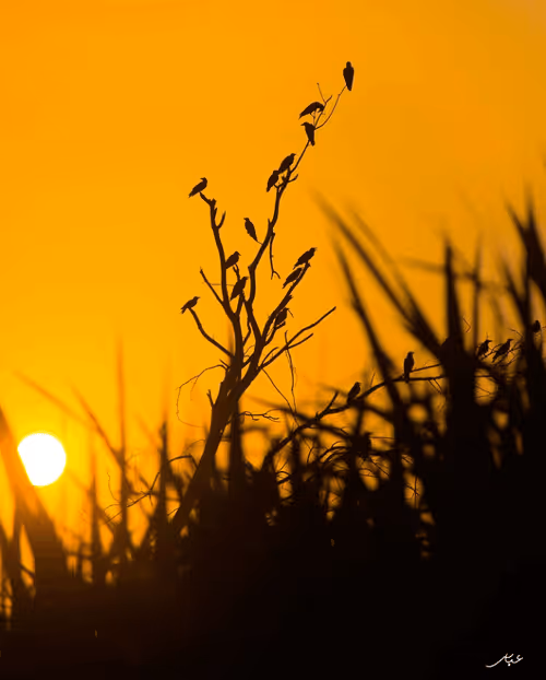 Item #9104047852343460824823657095955061139286762947505329334286274186220589285377 Media