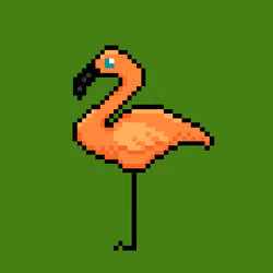 Fancy Flamingo #2499