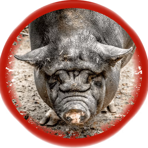 107530905304618675302548739526775943268479217550682915829596196241609964126213