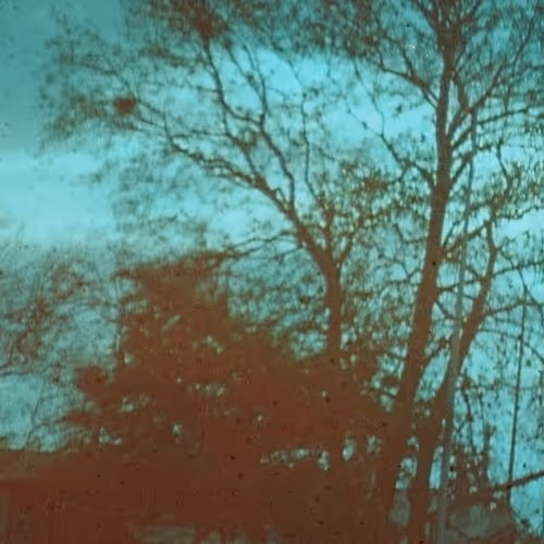 Item #26240500746670689107494502172529202966173513927234395913133241684268662390785 Media