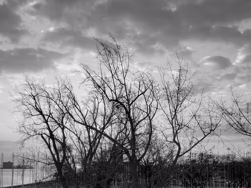 Item #67735063741821568461773819163901199613015394184580788497875190253077345075201 Media