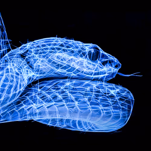 Item #41835371952023020745860012220635076645506524094652361390294664929013498118145 Media