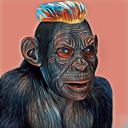 Item #18229978679118380539755822762608321852461242058340085351680553082240490274836 Media