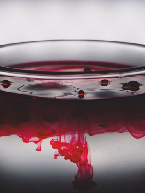 Item #39391070493116977564899321791408150162796374052111424108014134433741988167681 Media